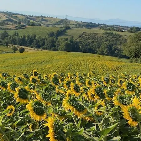 De Bares Castelgaillard